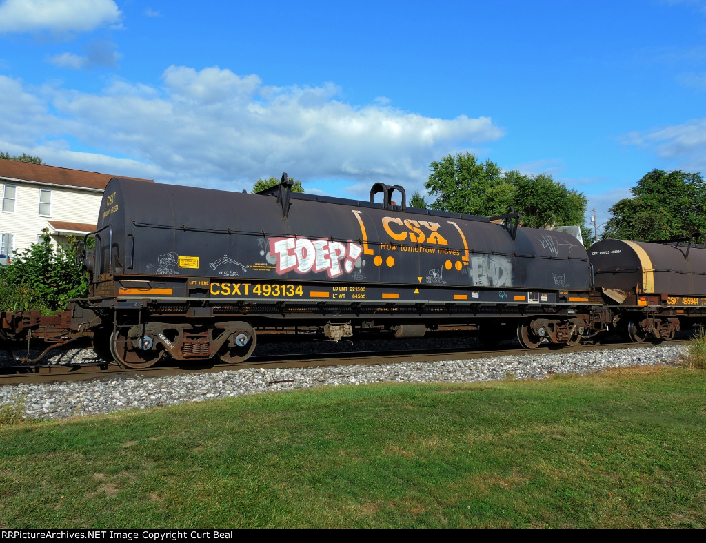 CSX 493134